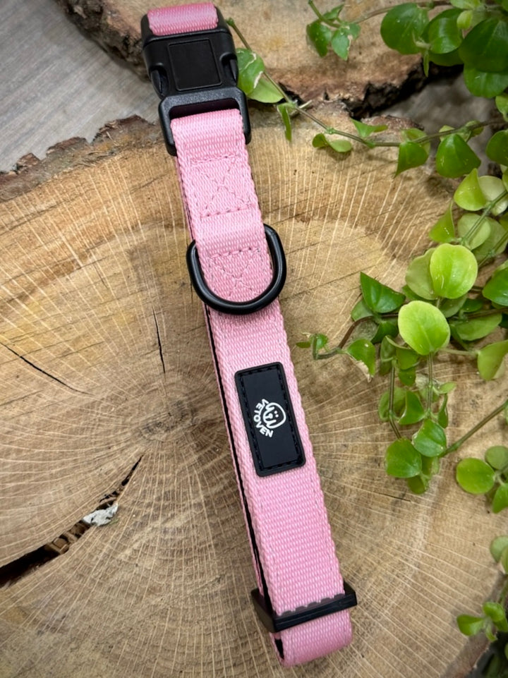 Collar Brezo de Otoño Vetoven – Suavidad, Seguridad y Estilo Natural
