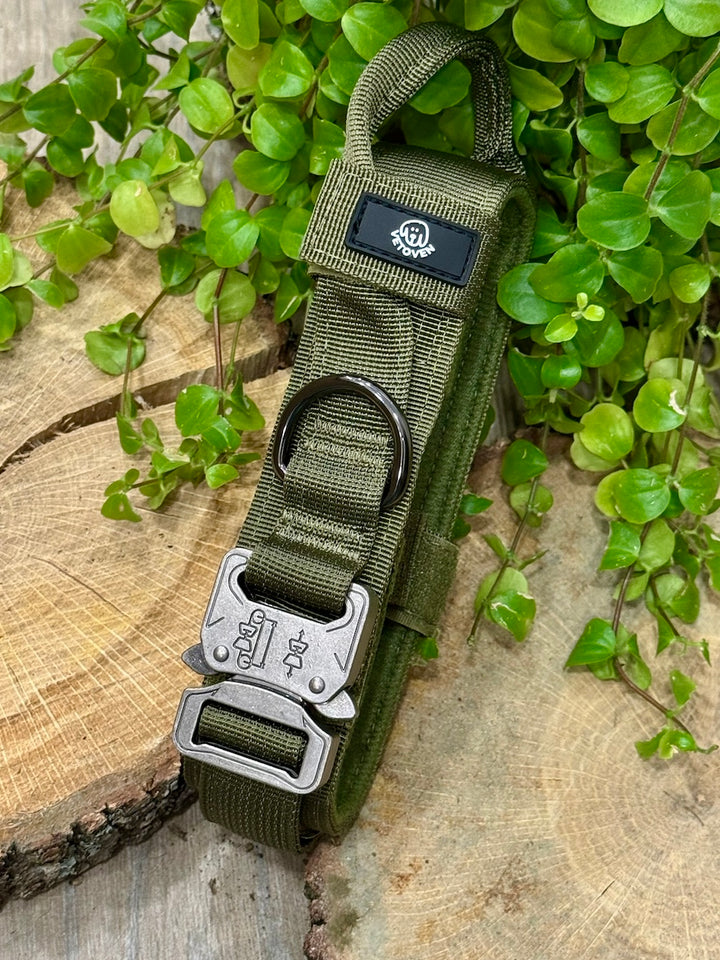 Collar Verde Musgo para Perros Grandes – Colección Roca &amp; Ruta