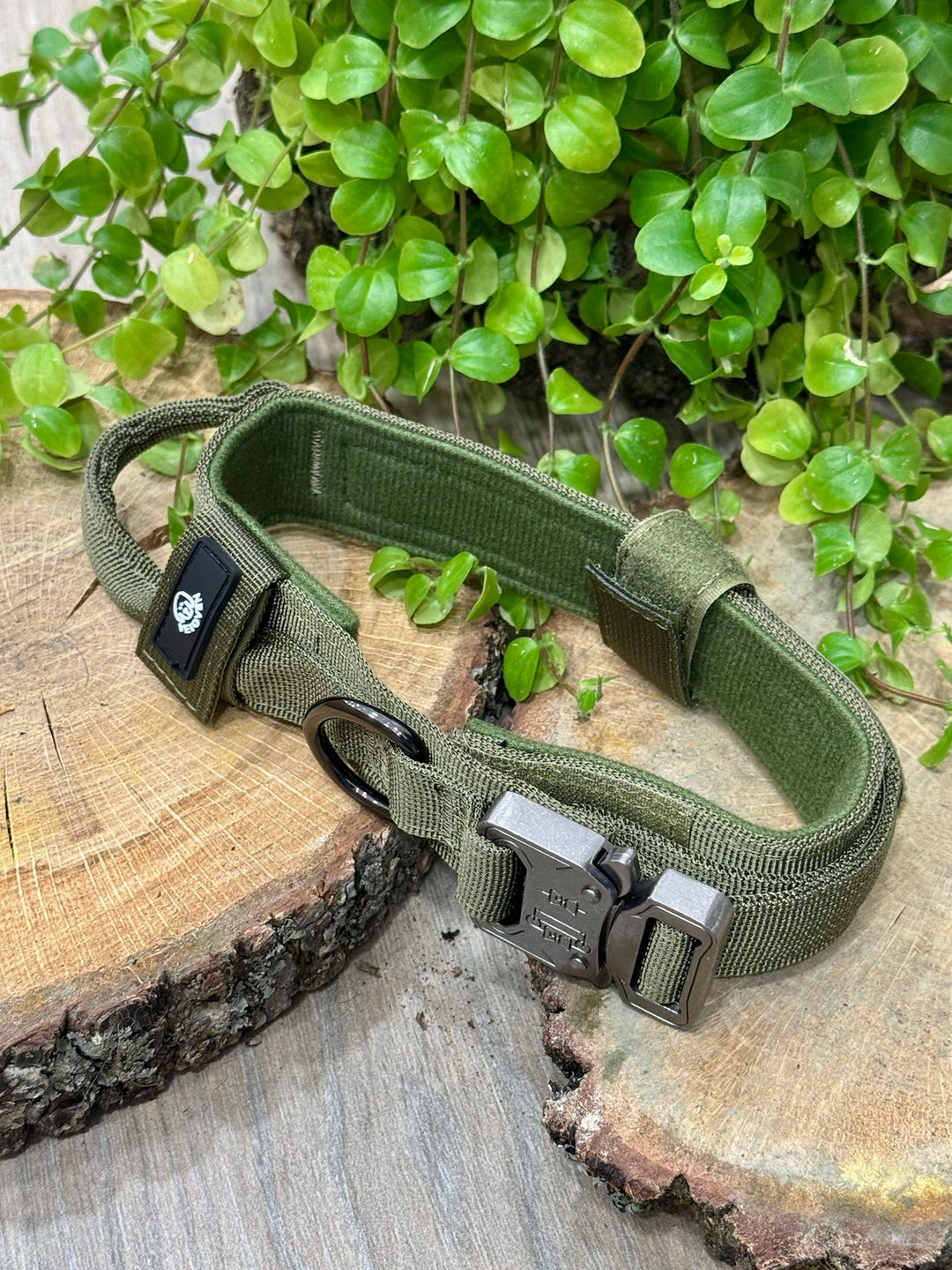 Collar Verde Musgo para Perros Grandes – Colección Roca &amp; Ruta