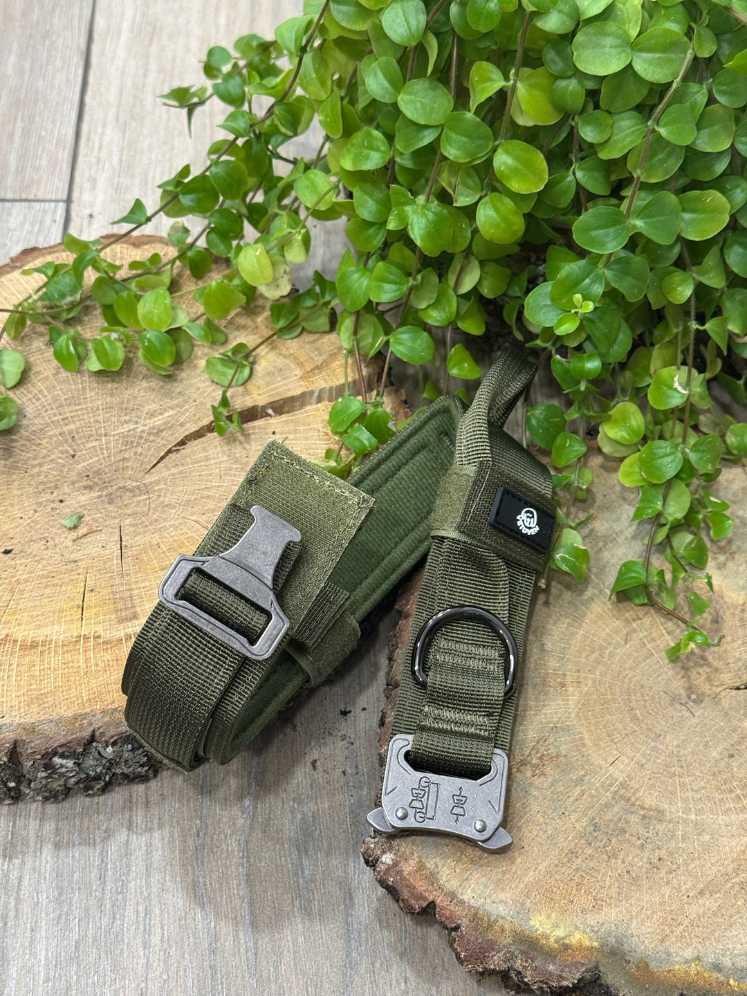 Collar Verde Musgo para Perros Grandes – Colección Roca &amp; Ruta