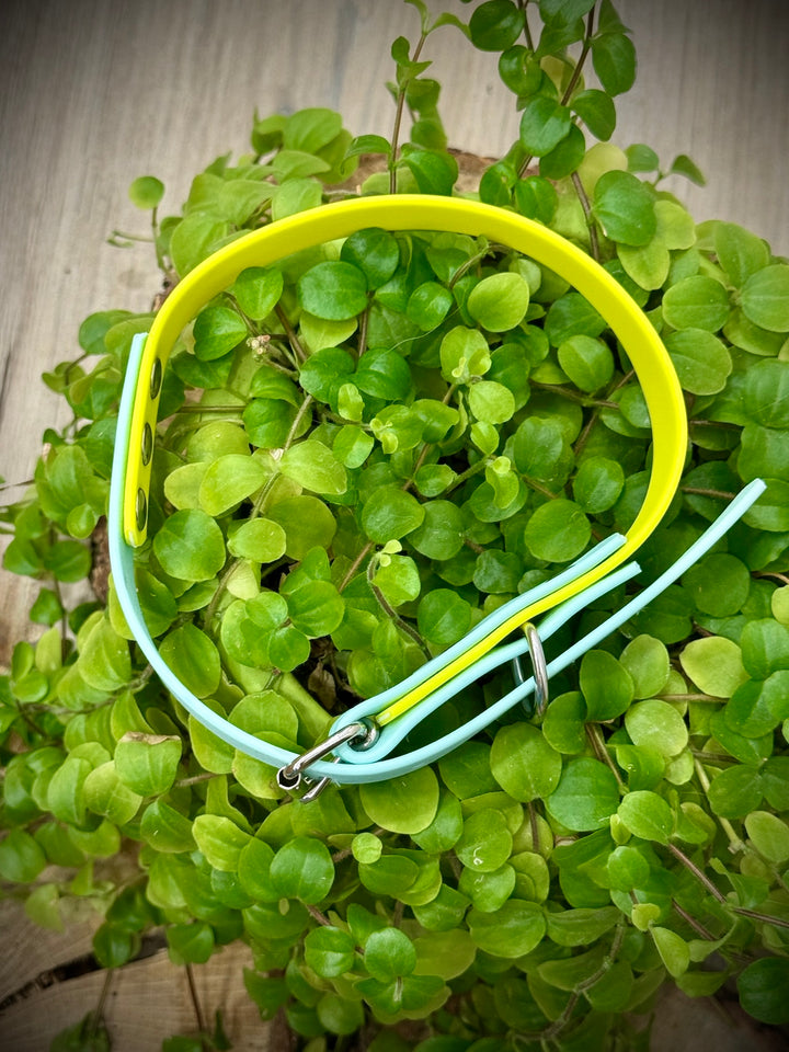Collar Playa Azul Vetoven – Ligereza, Estilo y Resistencia para Aventuras Veraniegas
