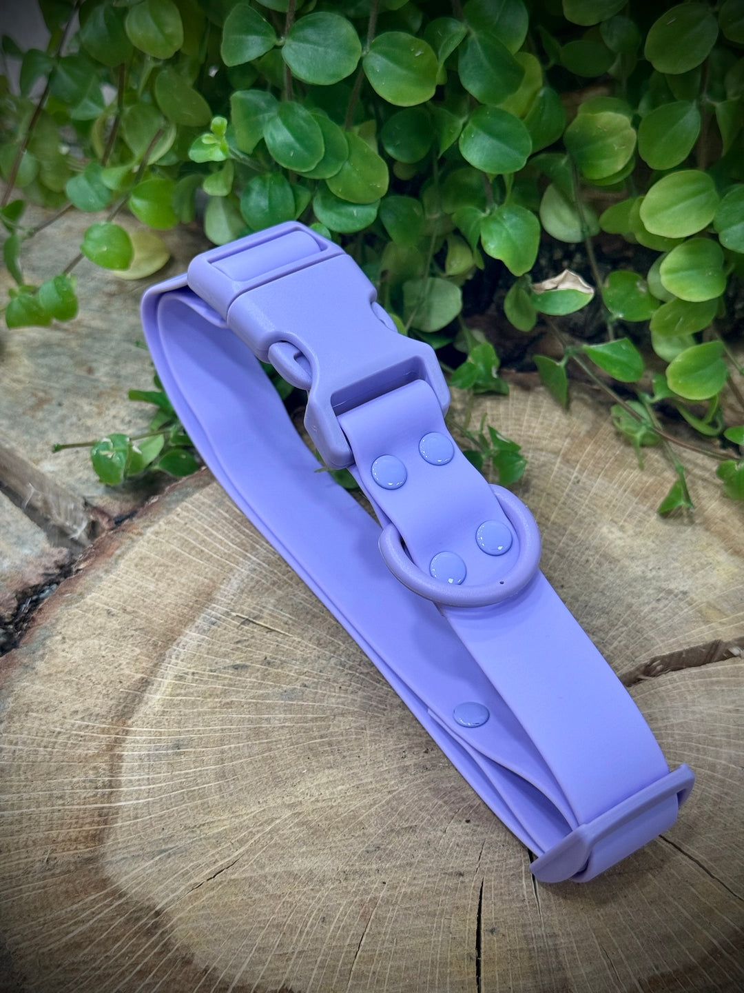 Collar Waterproof Lavanda Vetoven – Elegancia Suave, Funcionalidad Total