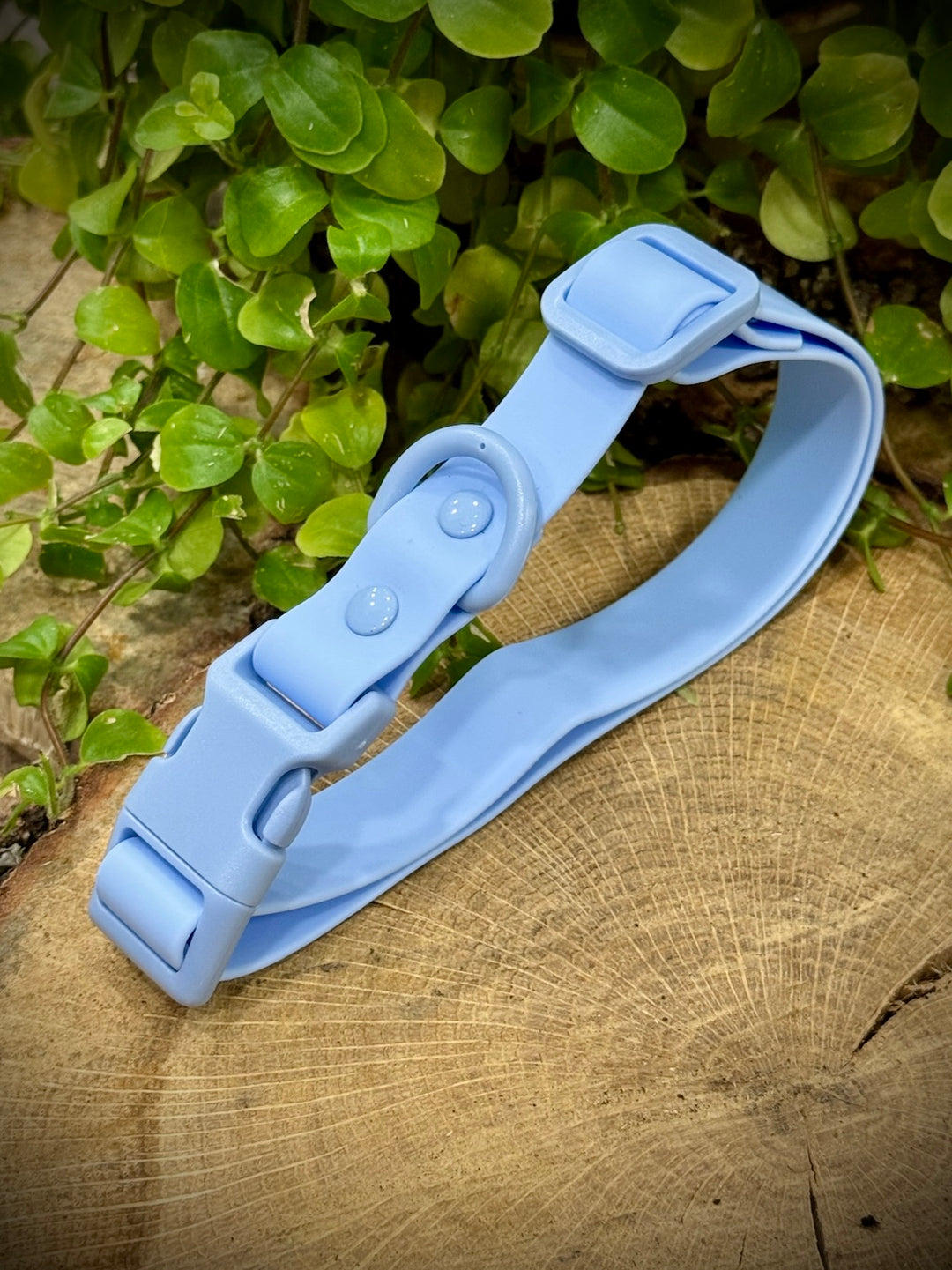 Collar Waterproof Cielo Vetoven – Azul Claro, Resistente al Agua y Fácil de Limpiar