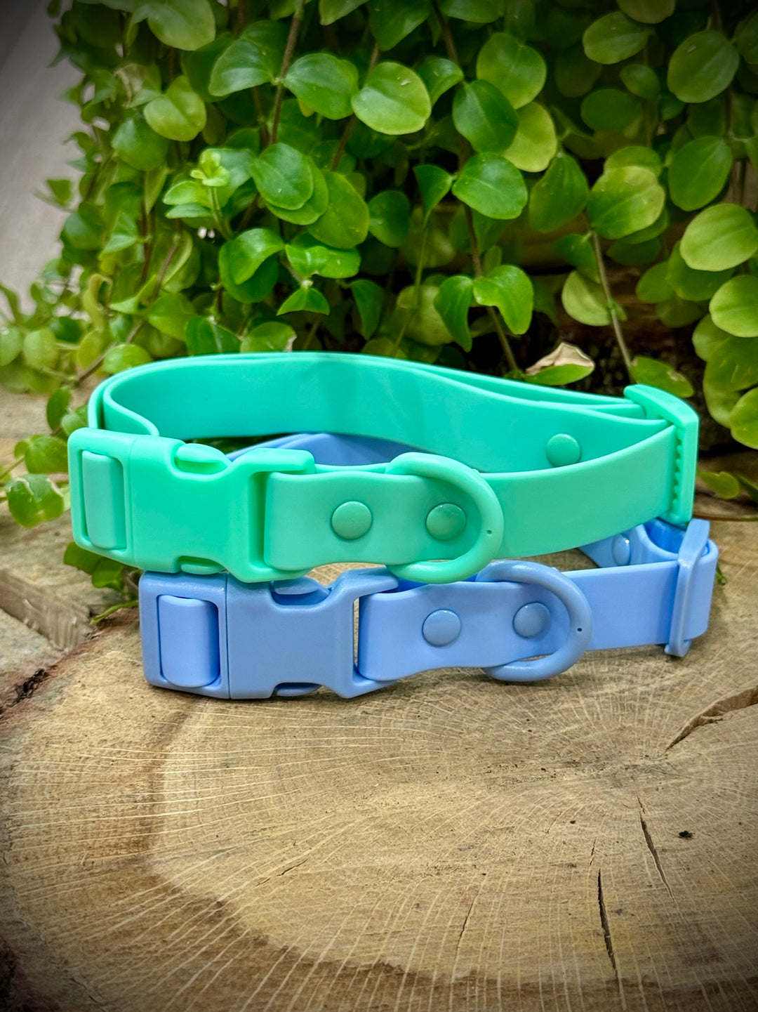 Collar Waterproof Cielo Vetoven – Azul Claro, Resistente al Agua y Fácil de Limpiar
