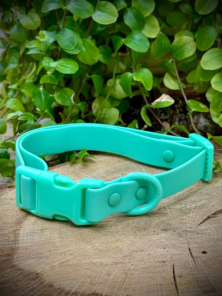 Collar Waterproof Menta Vetoven – Frescura, Resistencia y Comodidad para Cada Paseo