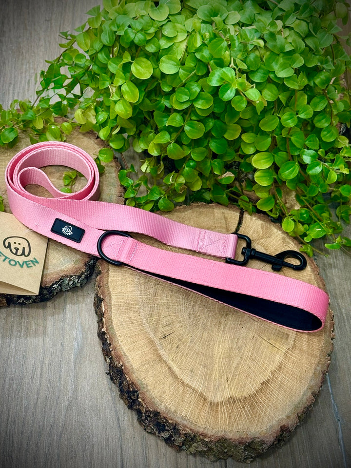 Correa para Perro Brezo de Otoño Vetoven - Colección Primavera