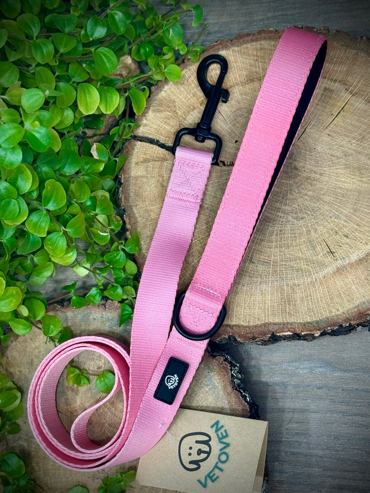 Correa para Perro Brezo de Otoño Vetoven - Colección Primavera