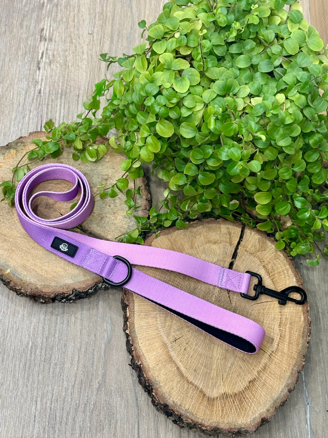 Correa Lavanda para Perro Vetoven – Colección Primavera