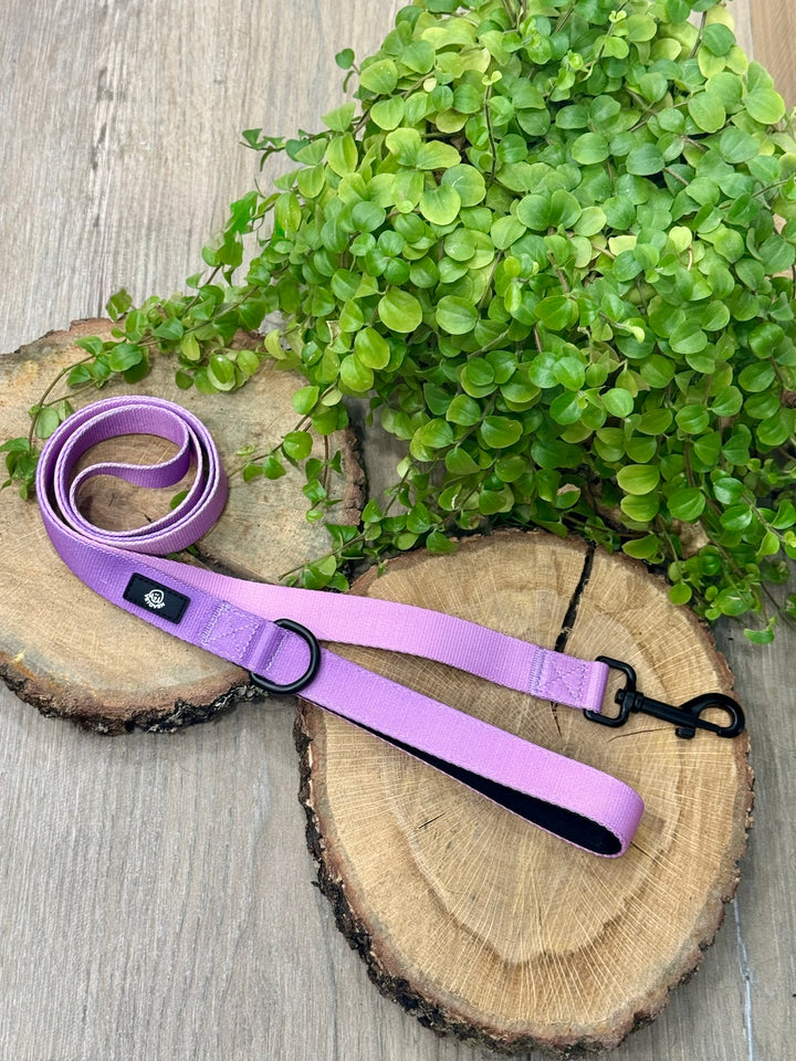 Correa Lavanda para Perro Vetoven – Colección Primavera