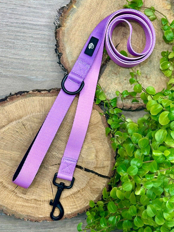 Correa Lavanda para Perro Vetoven – Colección Primavera