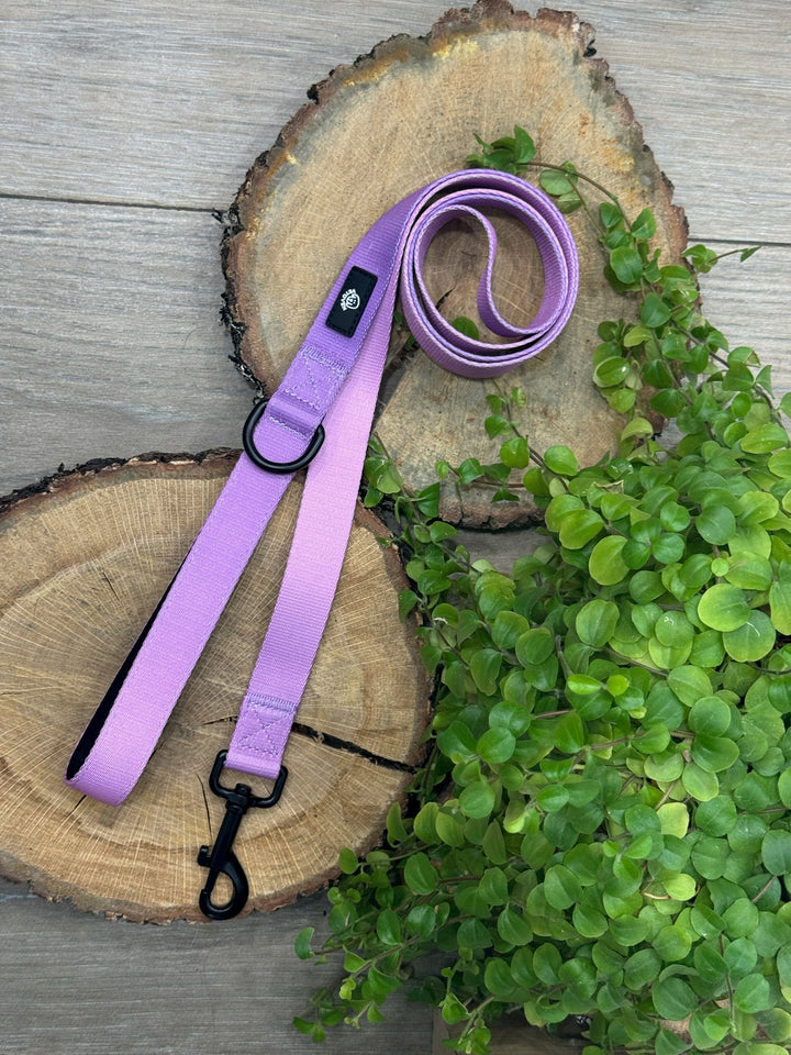 Correa Lavanda para Perro Vetoven – Colección Primavera