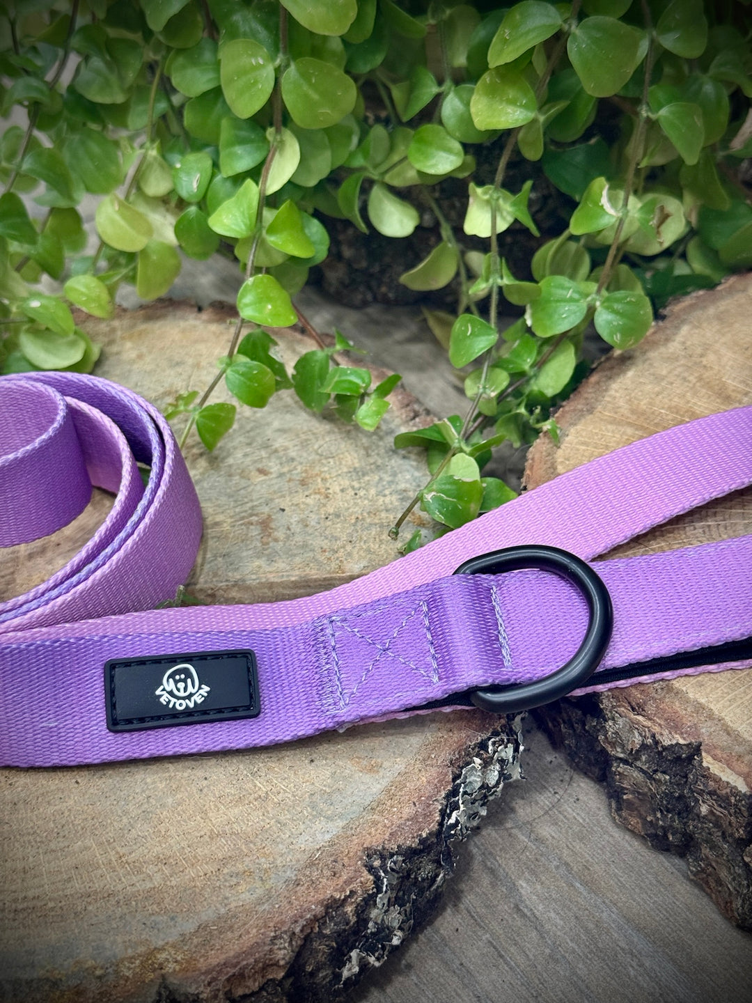 Correa Lavanda para Perro Vetoven – Colección Primavera