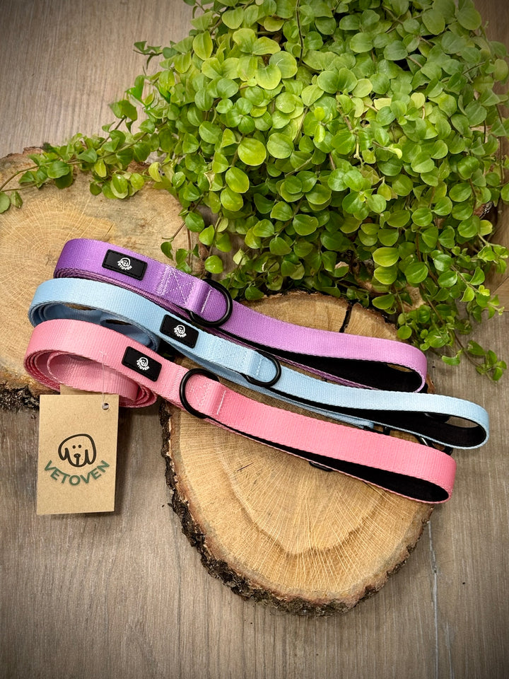 Correa para Perro Brezo de Otoño Vetoven - Colección Primavera