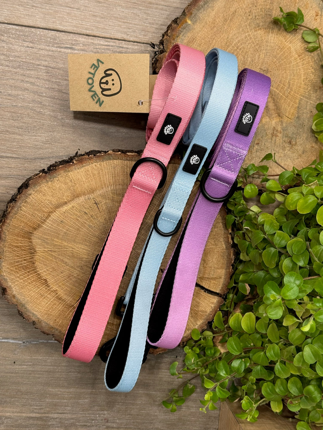 Correa para Perro Brezo de Otoño Vetoven - Colección Primavera