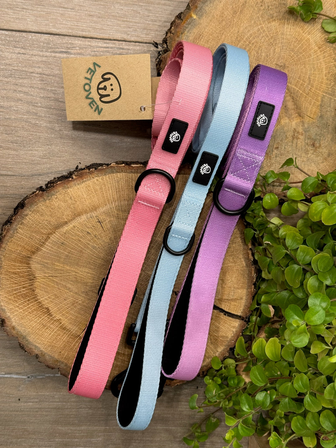 Correa para Perro Brezo de Otoño Vetoven - Colección Primavera