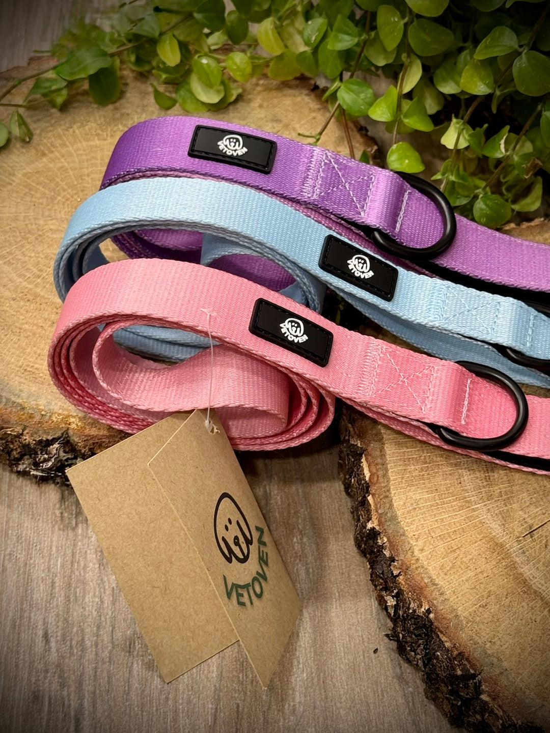 Correa para Perro Brezo de Otoño Vetoven - Colección Primavera