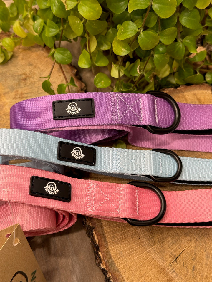 Correa para Perro Brezo de Otoño Vetoven - Colección Primavera