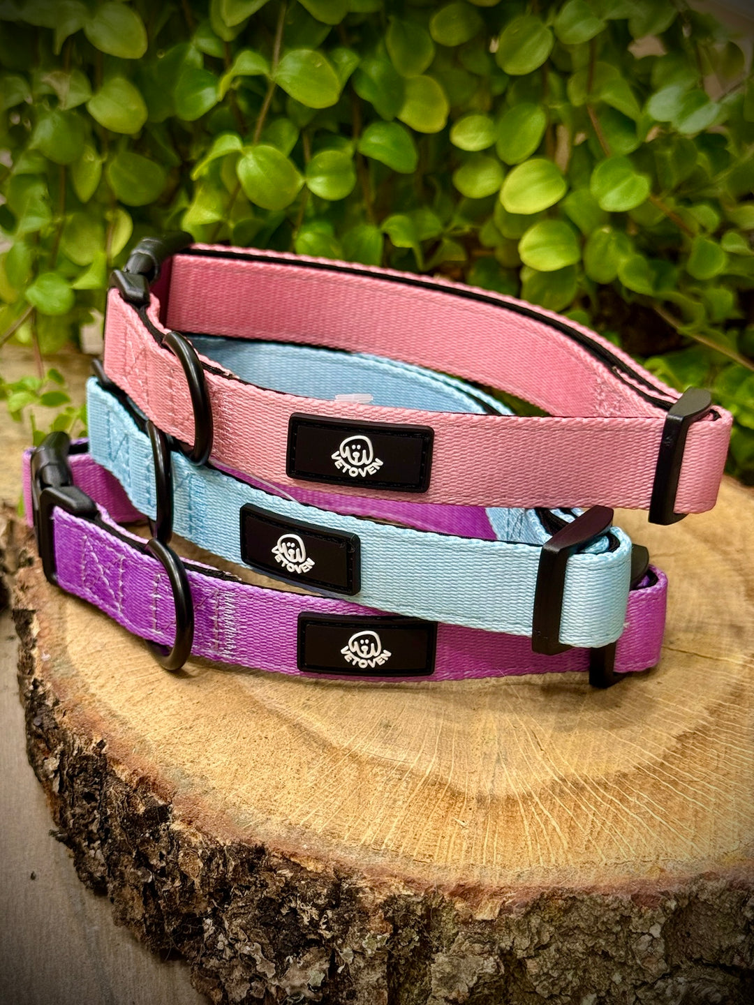 Collar Lavanda Vetoven – Nylon Resistente, Acolchado y con Estilo Suave