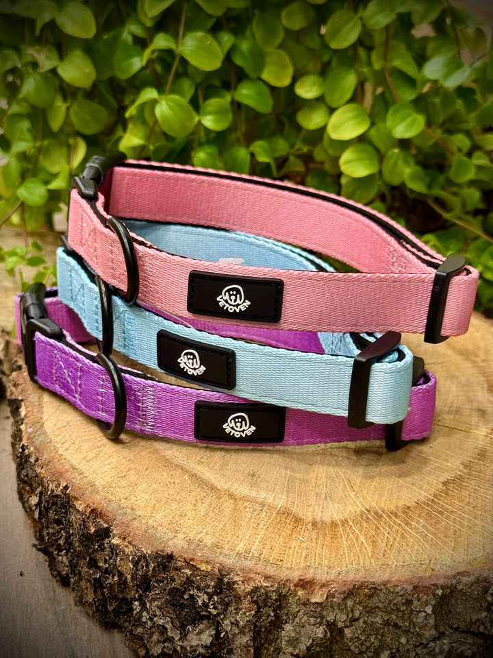 Collar Lavanda Vetoven – Nylon Resistente, Acolchado y con Estilo Suave