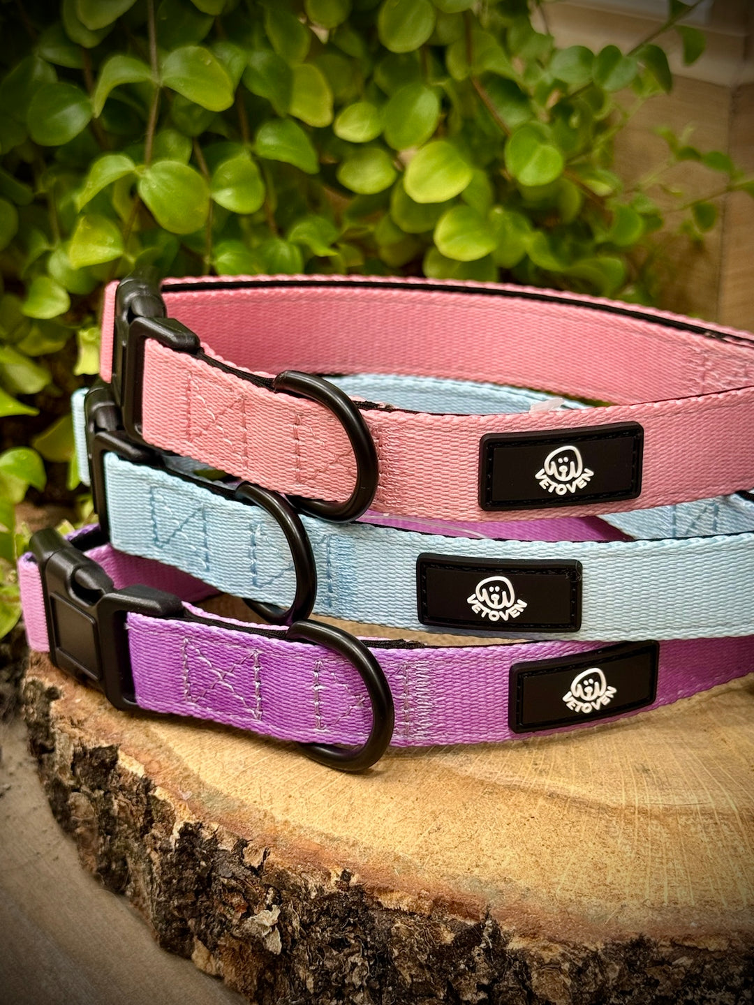 Collar Lavanda Vetoven – Nylon Resistente, Acolchado y con Estilo Suave