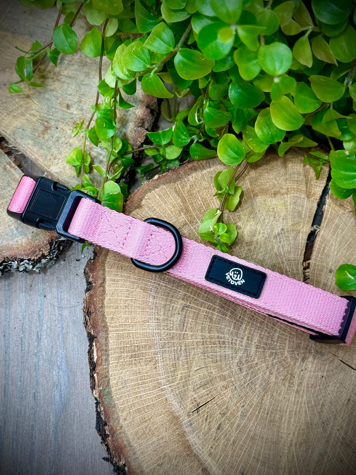 Collar Brezo de Otoño Vetoven – Suavidad, Seguridad y Estilo Natural
