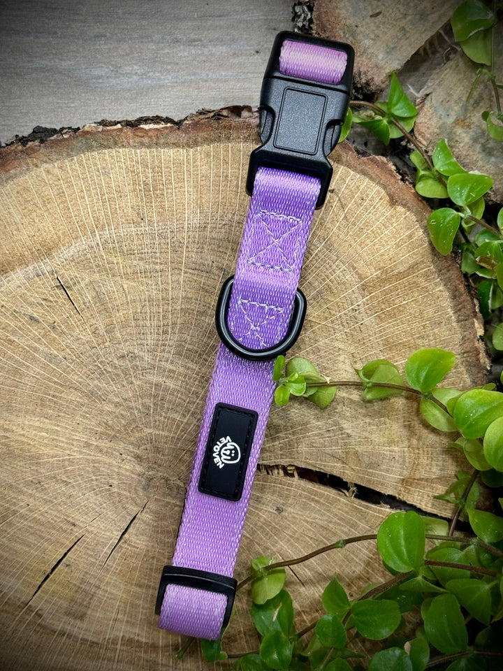 Collar Lavanda Vetoven – Nylon Resistente, Acolchado y con Estilo Suave
