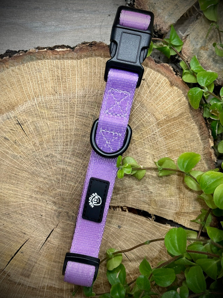 Collar Lavanda Vetoven – Nylon Resistente, Acolchado y con Estilo Suave