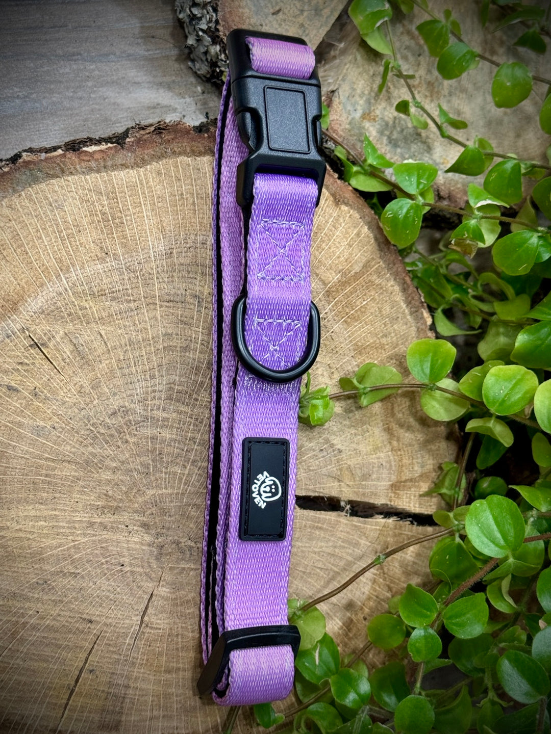 Collar Lavanda Vetoven – Nylon Resistente, Acolchado y con Estilo Suave