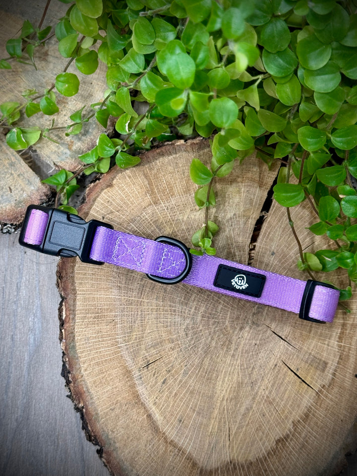 Collar Lavanda Vetoven – Nylon Resistente, Acolchado y con Estilo Suave