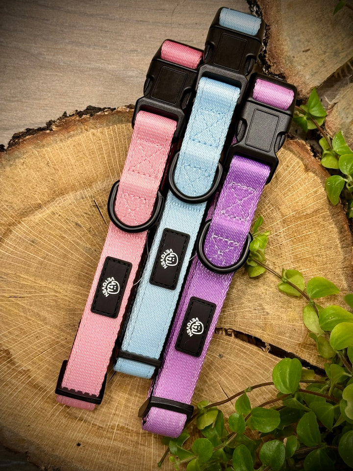 Collar Lavanda Vetoven – Nylon Resistente, Acolchado y con Estilo Suave