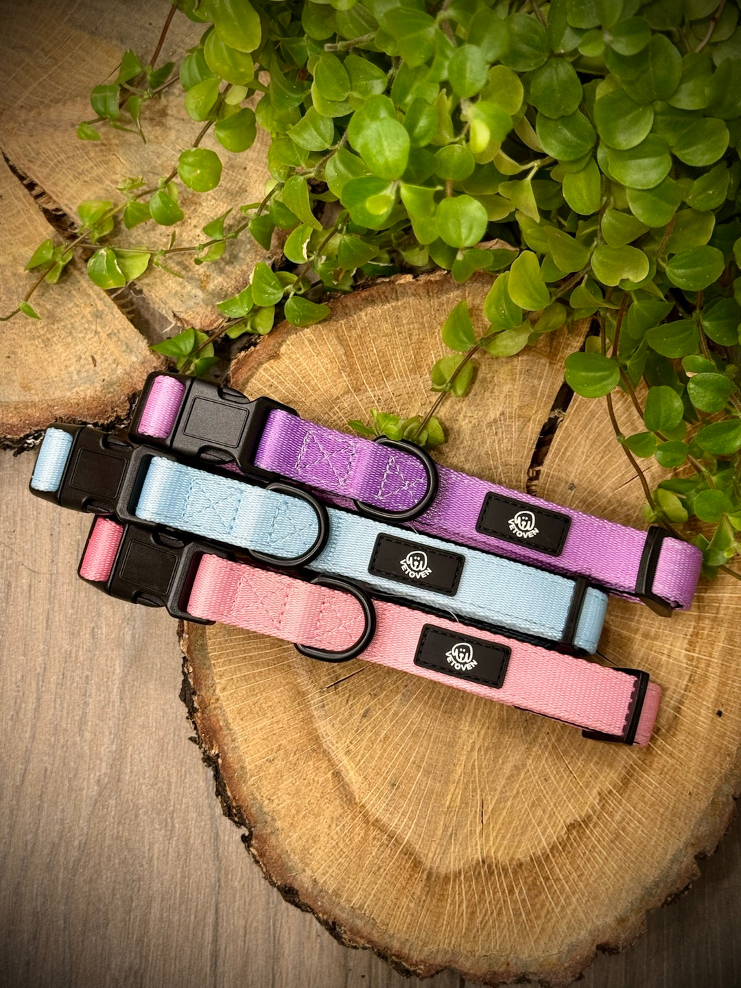 Collar Lavanda Vetoven – Nylon Resistente, Acolchado y con Estilo Suave