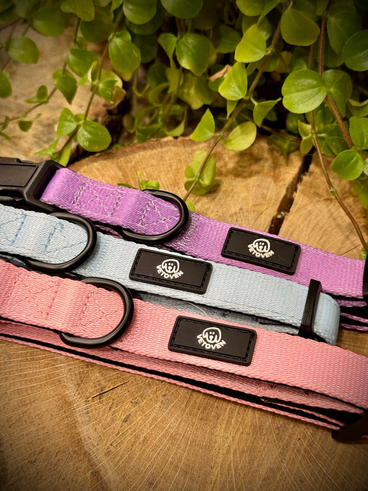 Collar Lavanda Vetoven – Nylon Resistente, Acolchado y con Estilo Suave