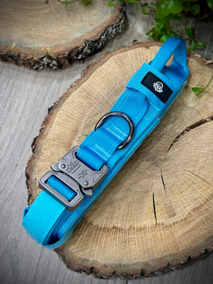Collar para Perro “Azul Glacial” – Resistencia con Espíritu Aventurero