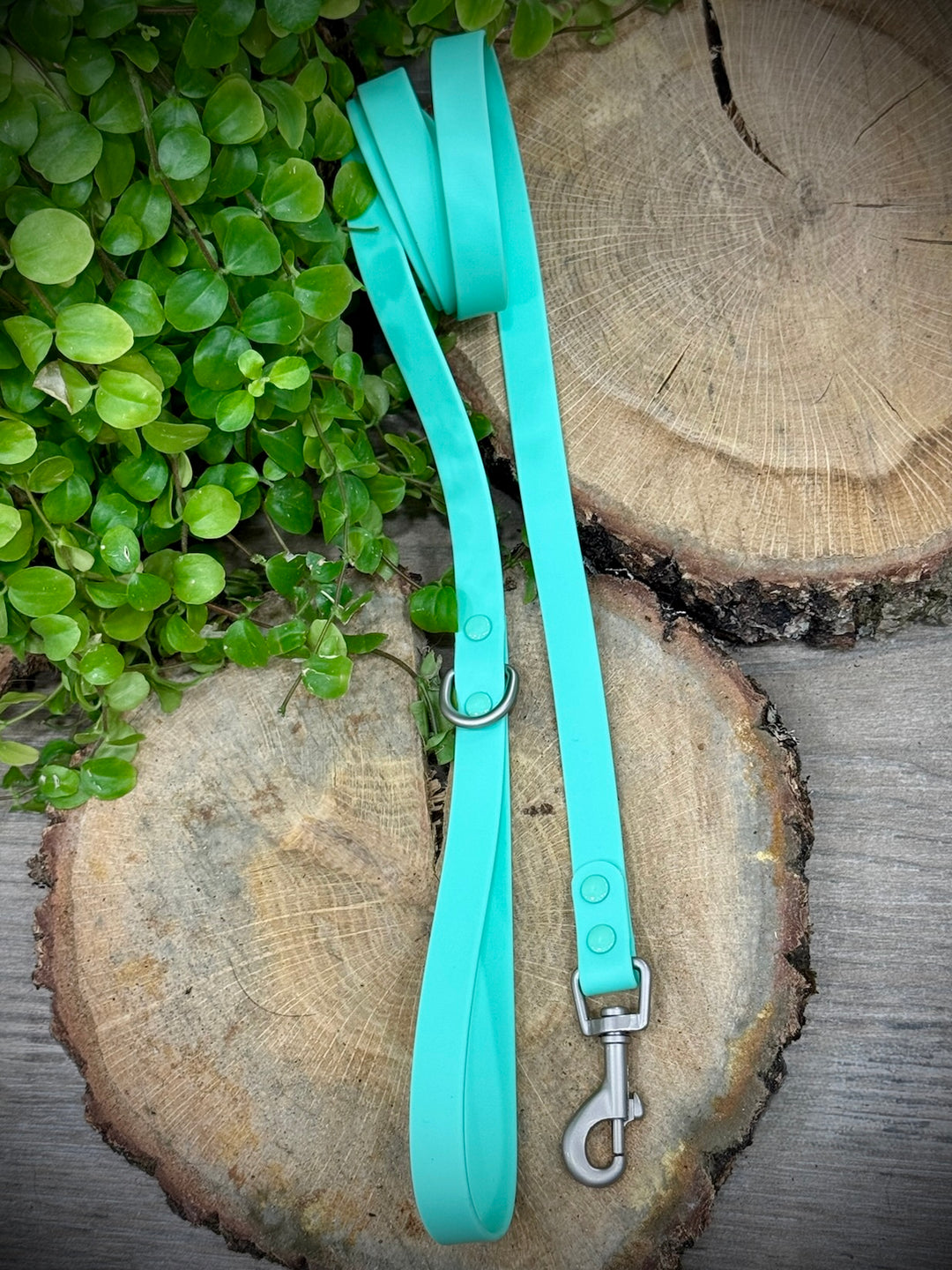 Correa Waterproof Menta Vetoven – Frescura y Comodidad para Aventuras sin Límites