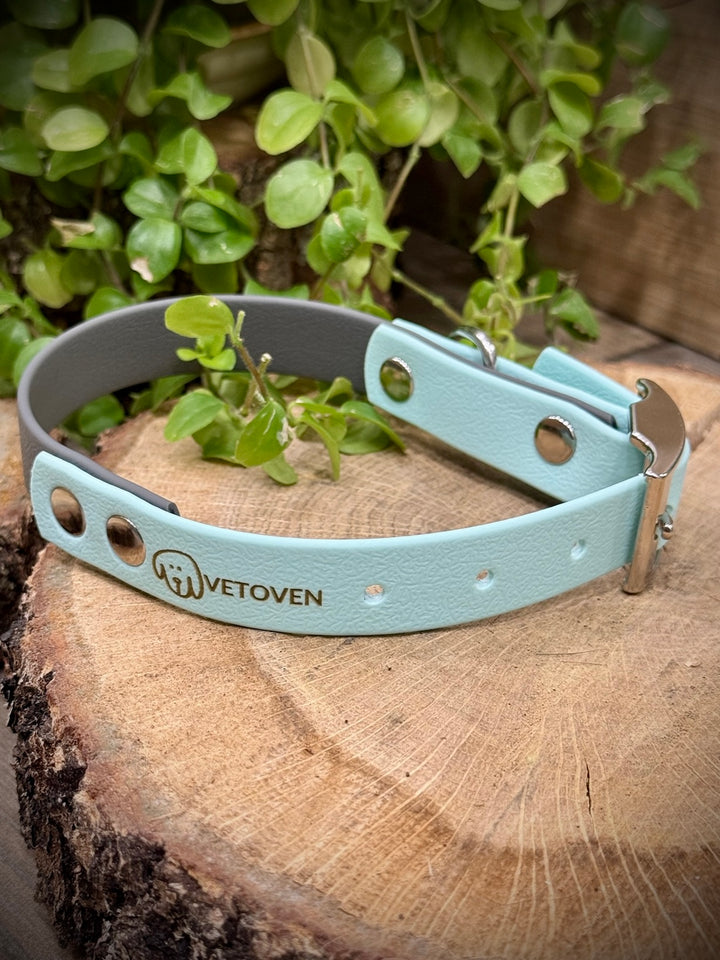 Collar Waterproof Río Azul Vetoven – Frescura, Seguridad y Resistencia para Cada Paseo