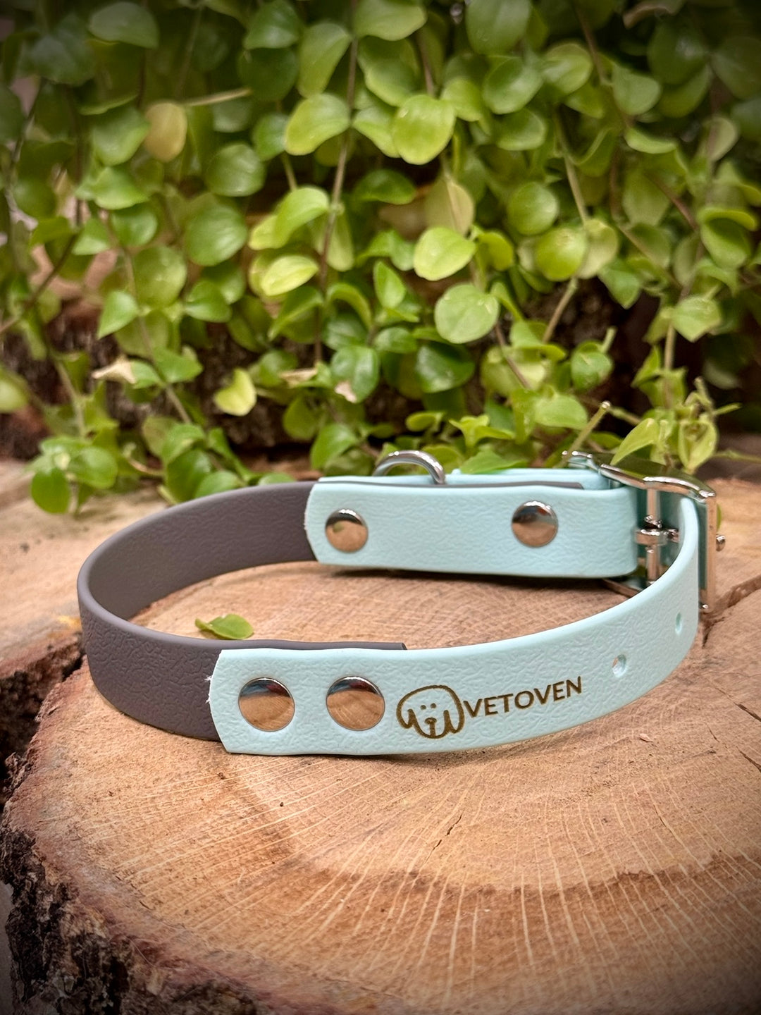 Collar Waterproof Río Azul Vetoven – Frescura, Seguridad y Resistencia para Cada Paseo