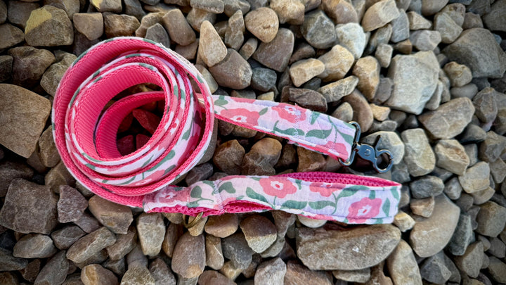 Correa para Perro “Campo de Rosas” – Colección Jardines en Flor