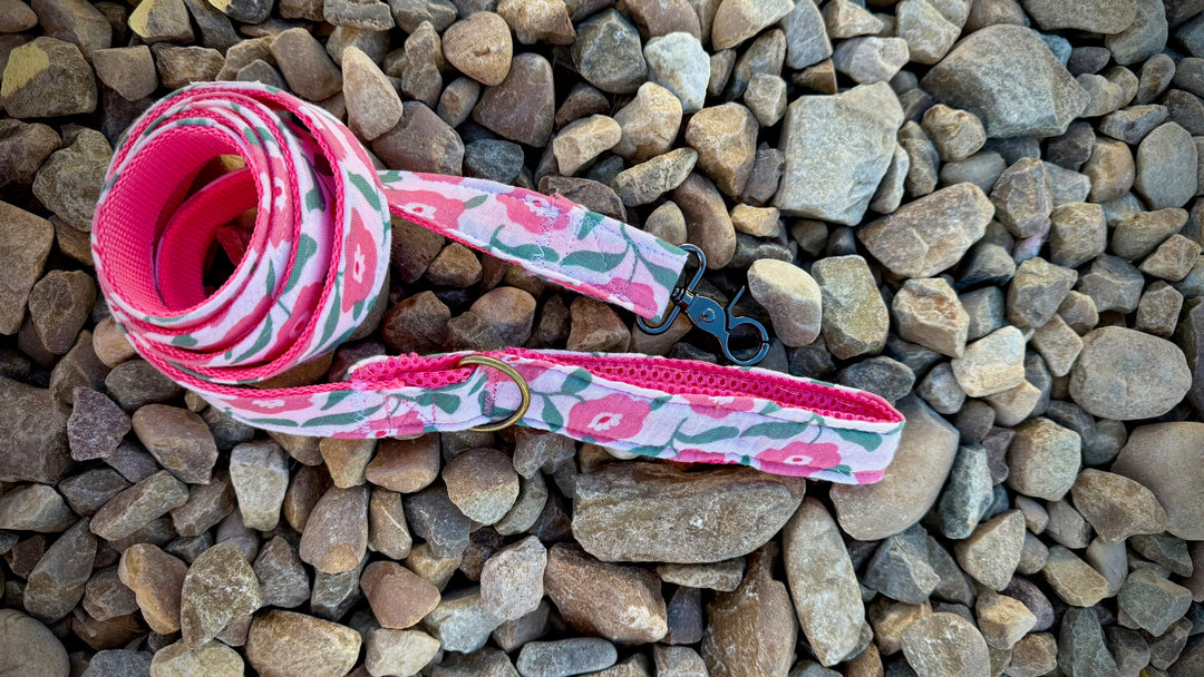 Correa para Perro “Campo de Rosas” – Colección Jardines en Flor