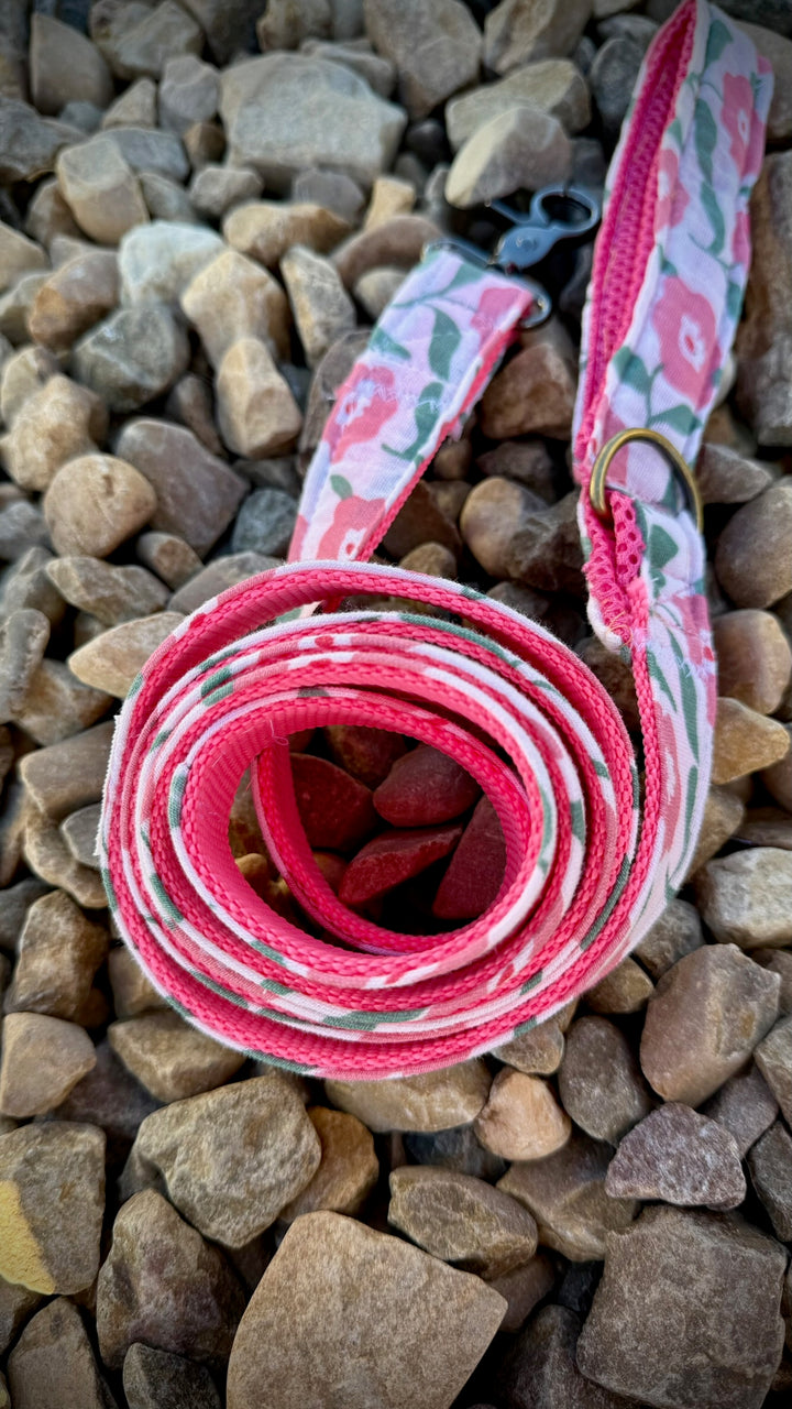 Correa para Perro “Campo de Rosas” – Colección Jardines en Flor