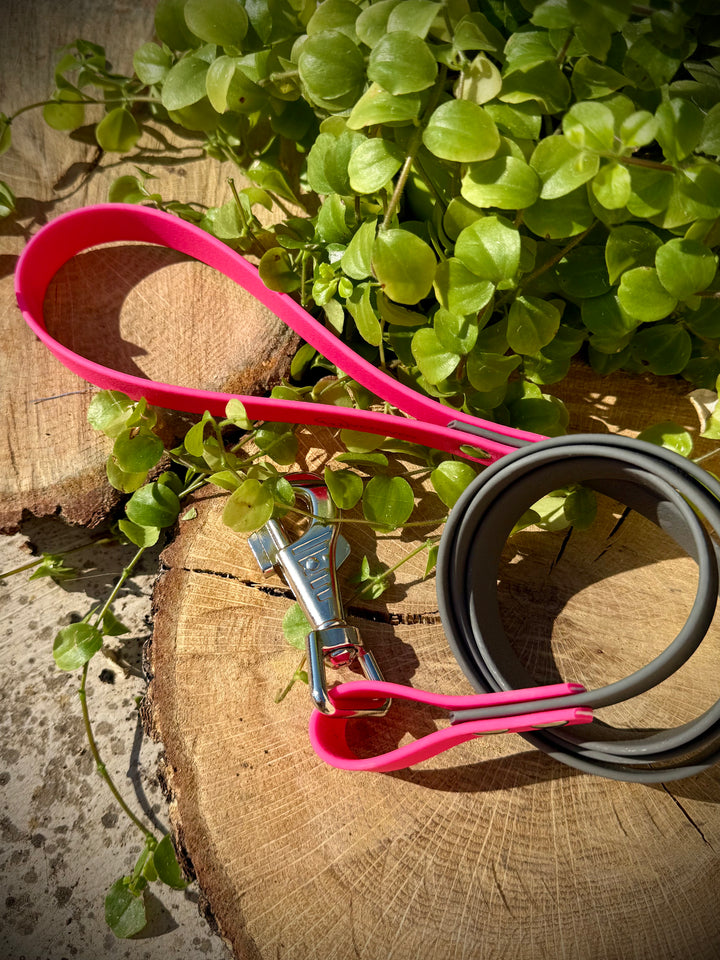 Correa para Perro “Río Magenta” – Colección Waterproof