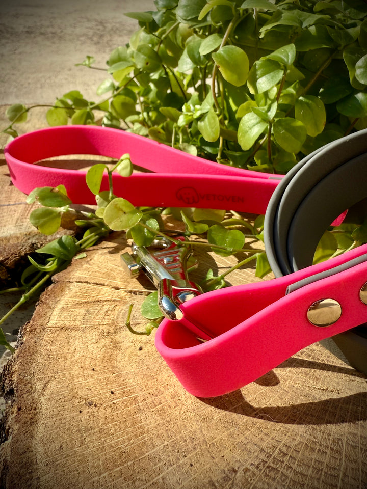 Correa para Perro “Río Magenta” – Colección Waterproof