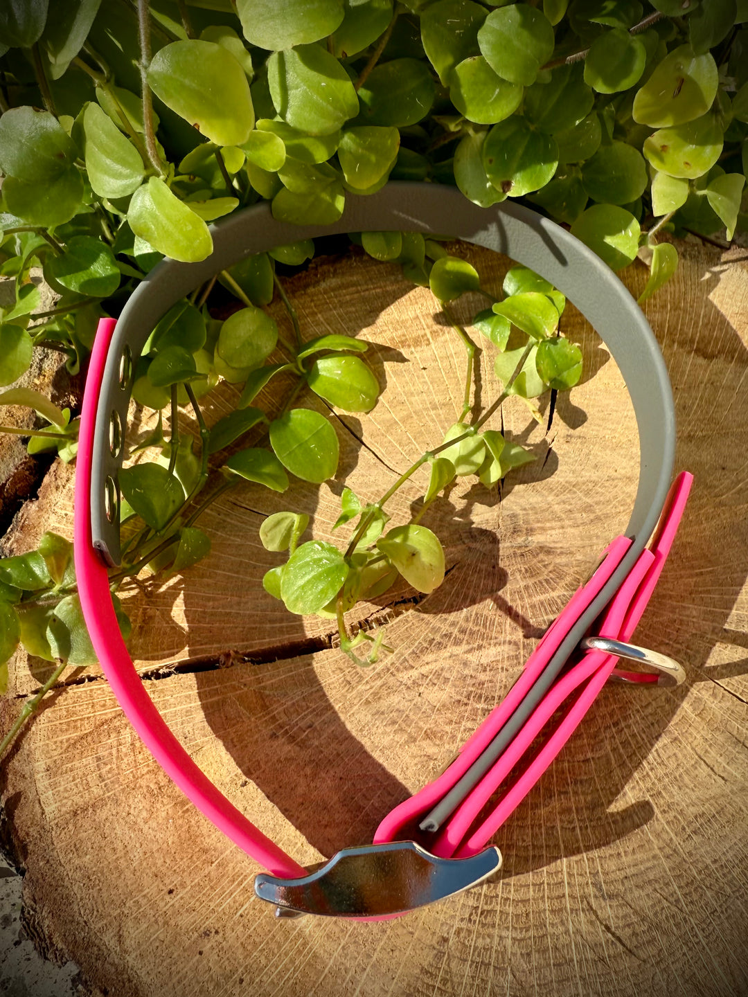 Collar para Perro “Río Magenta” – Colección Waterproof
