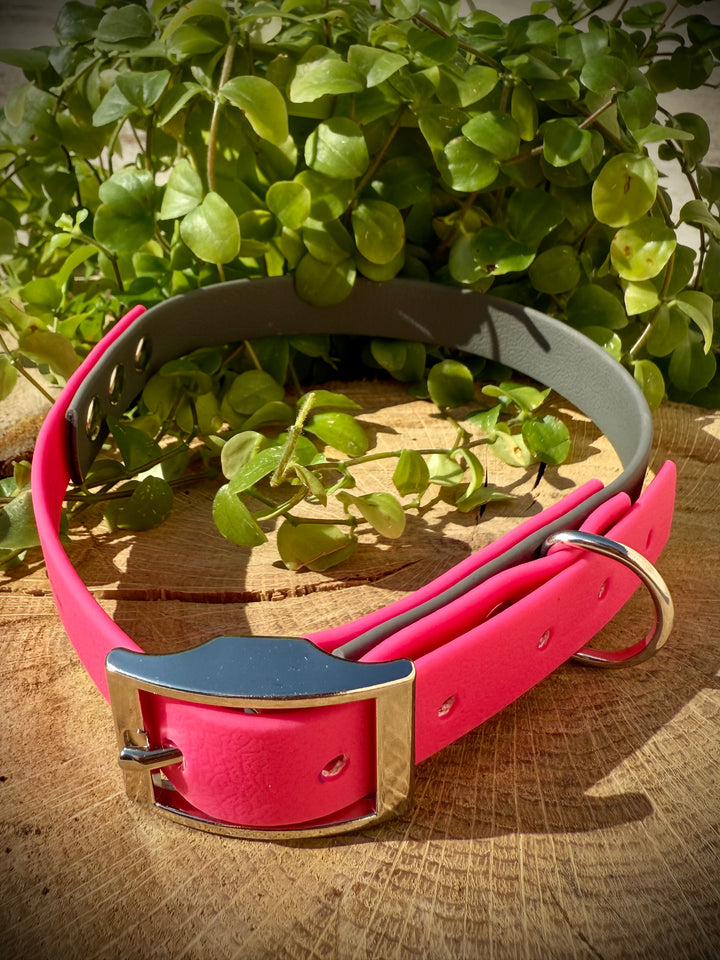 Collar para Perro “Río Magenta” – Colección Waterproof