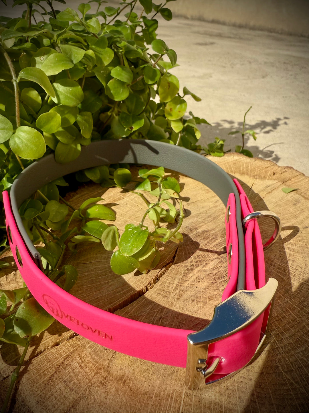 Collar para Perro “Río Magenta” – Colección Waterproof
