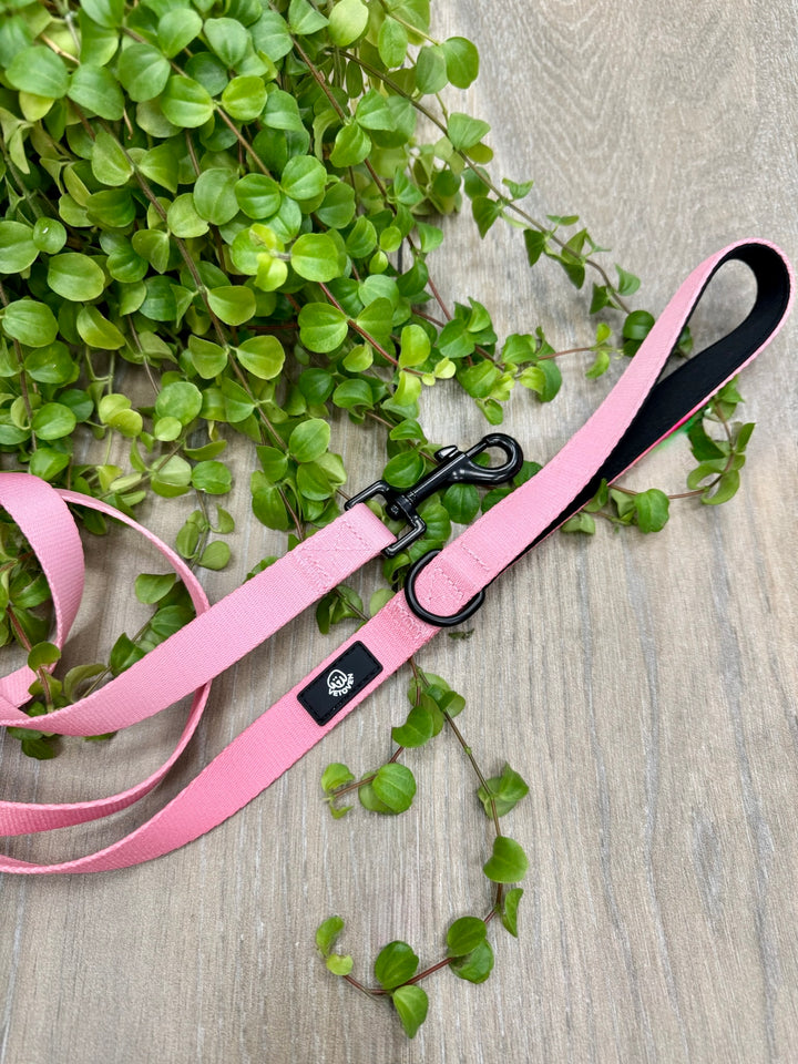 Correa para Perro Brezo de Otoño Vetoven - Colección Primavera