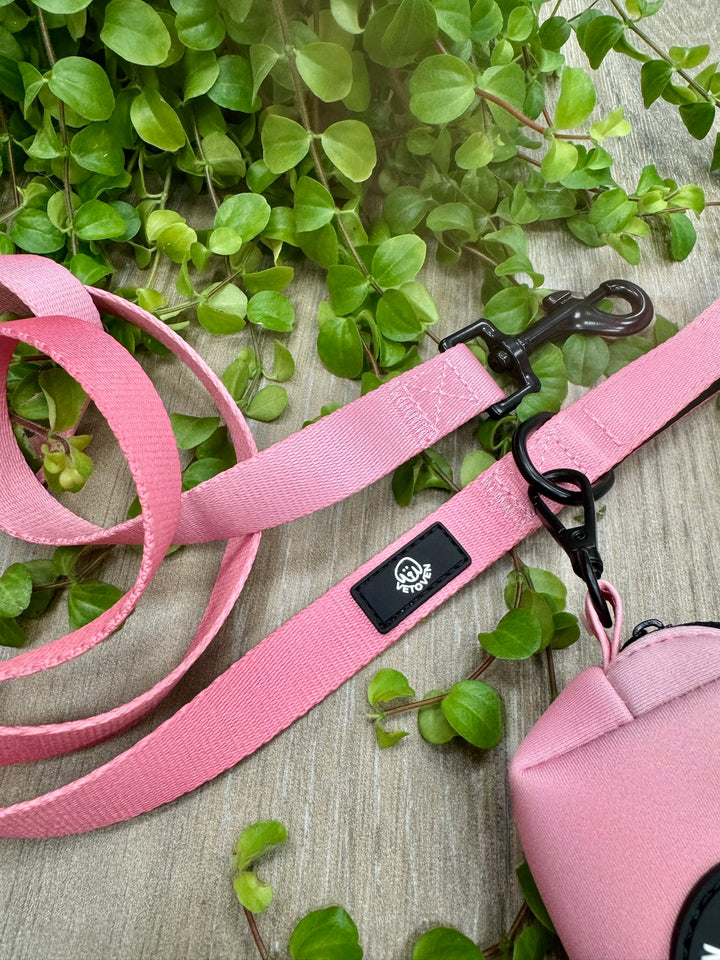 Correa para Perro Brezo de Otoño Vetoven - Colección Primavera