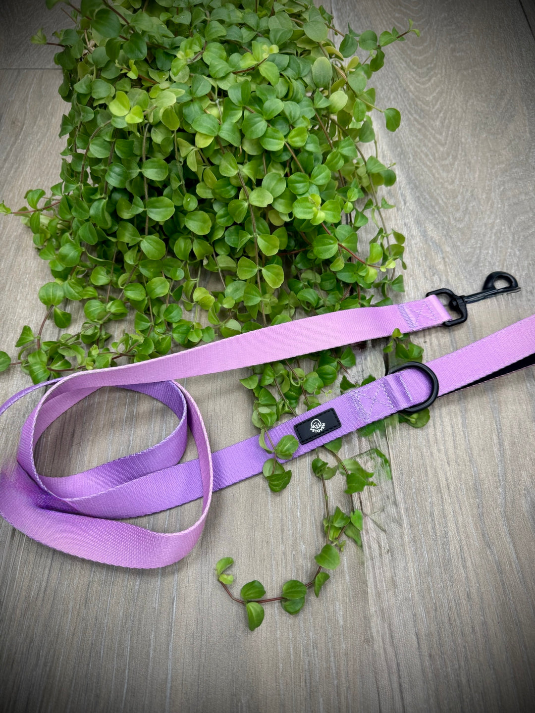 Correa Lavanda para Perro Vetoven – Colección Primavera
