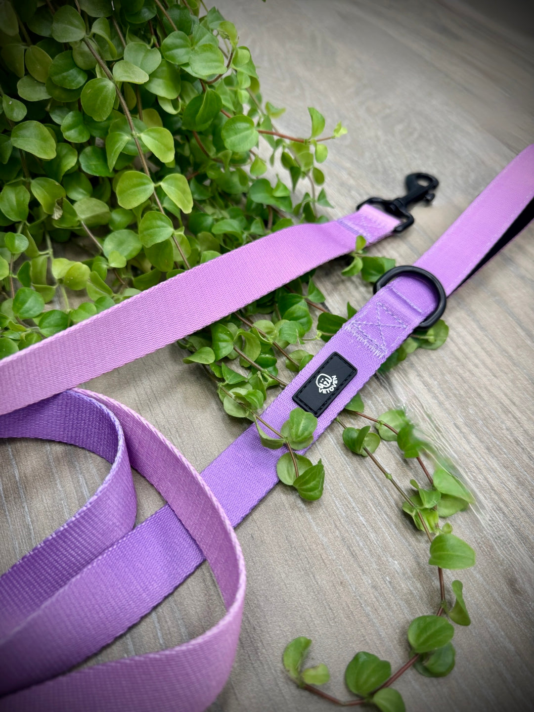 Correa Lavanda para Perro Vetoven – Colección Primavera