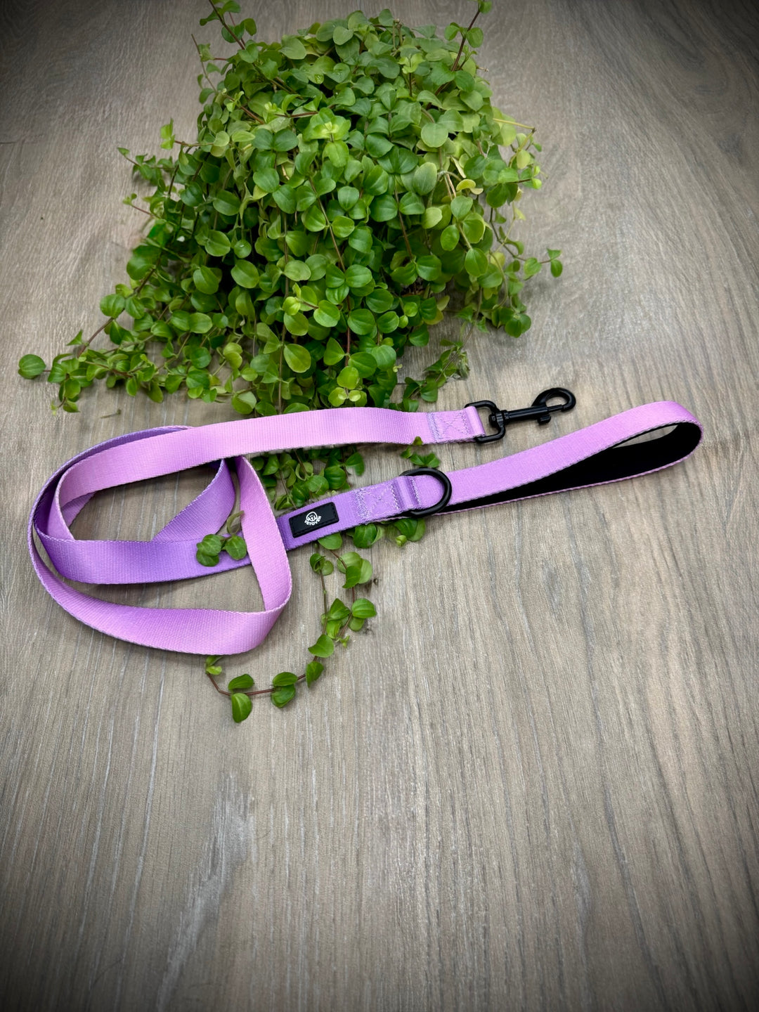 Correa Lavanda para Perro Vetoven – Colección Primavera
