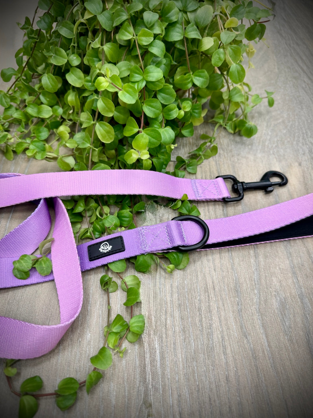 Correa Lavanda para Perro Vetoven – Colección Primavera